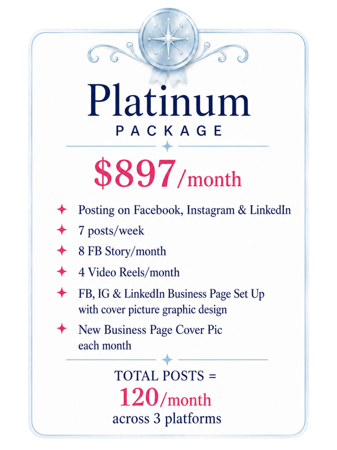 Platinum social media package